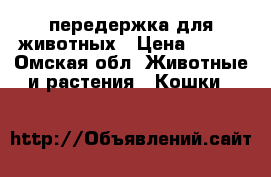 передержка для животных › Цена ­ 100 - Омская обл. Животные и растения » Кошки   